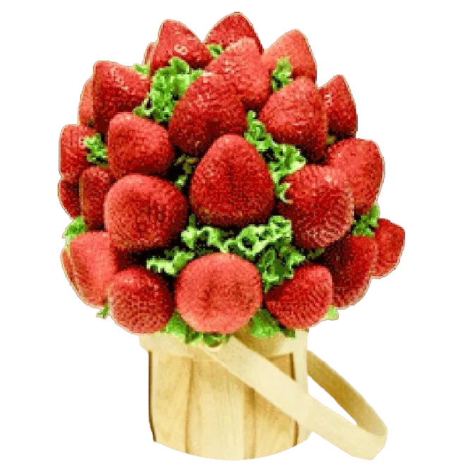 Strawberry Roses